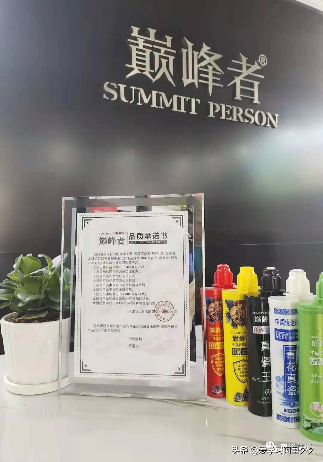 新趋势谋发展I浙江巅峰实业第二届巅峰英雄会圆满收官