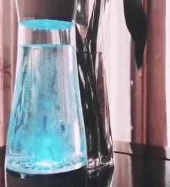 明星精致起来好吓人，花100万美金买床，20台加湿器放卧室