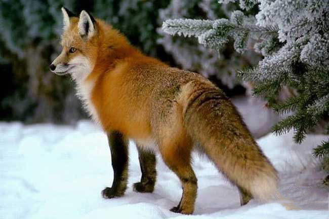 说文解字第339讲,说文解字第143课全集