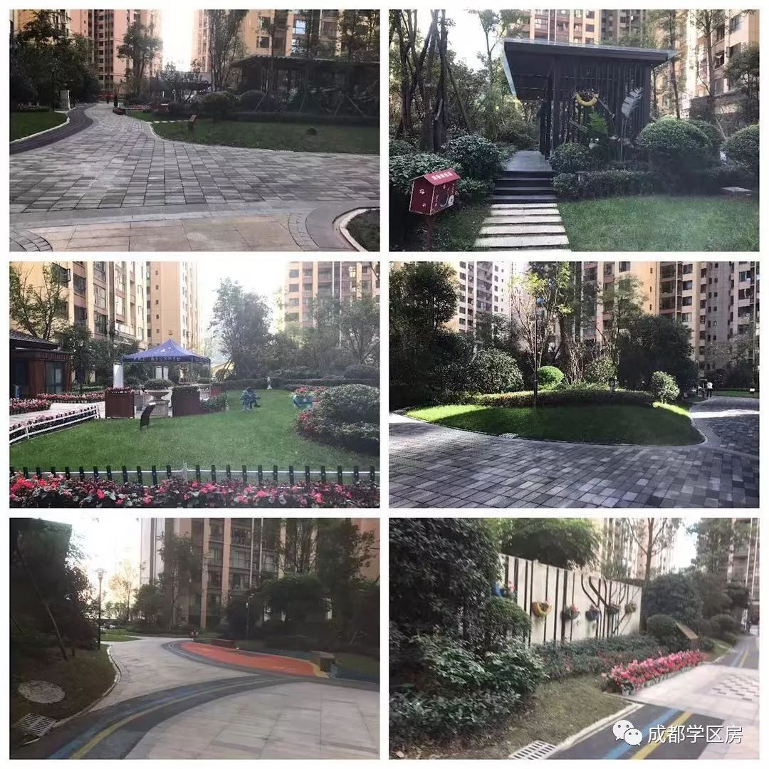 天府新区私立小学招生简章,天府新区第六小学对应初中