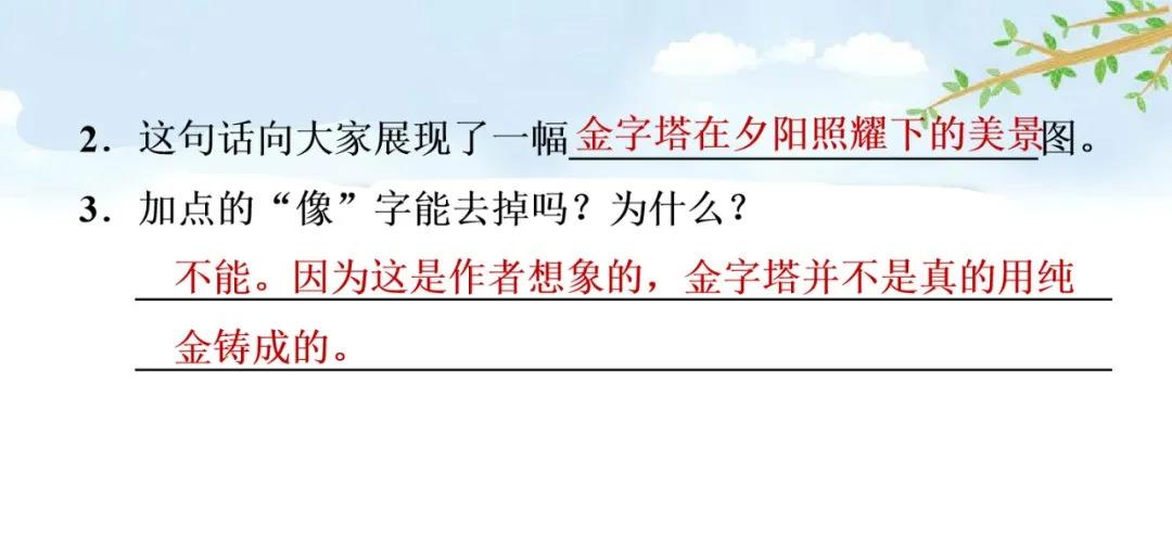 部编版五年级下册语文金字塔教案,语文书五年级下册第20课课后练习