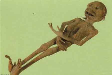 河童是日本的传说吗,河童是什么传说