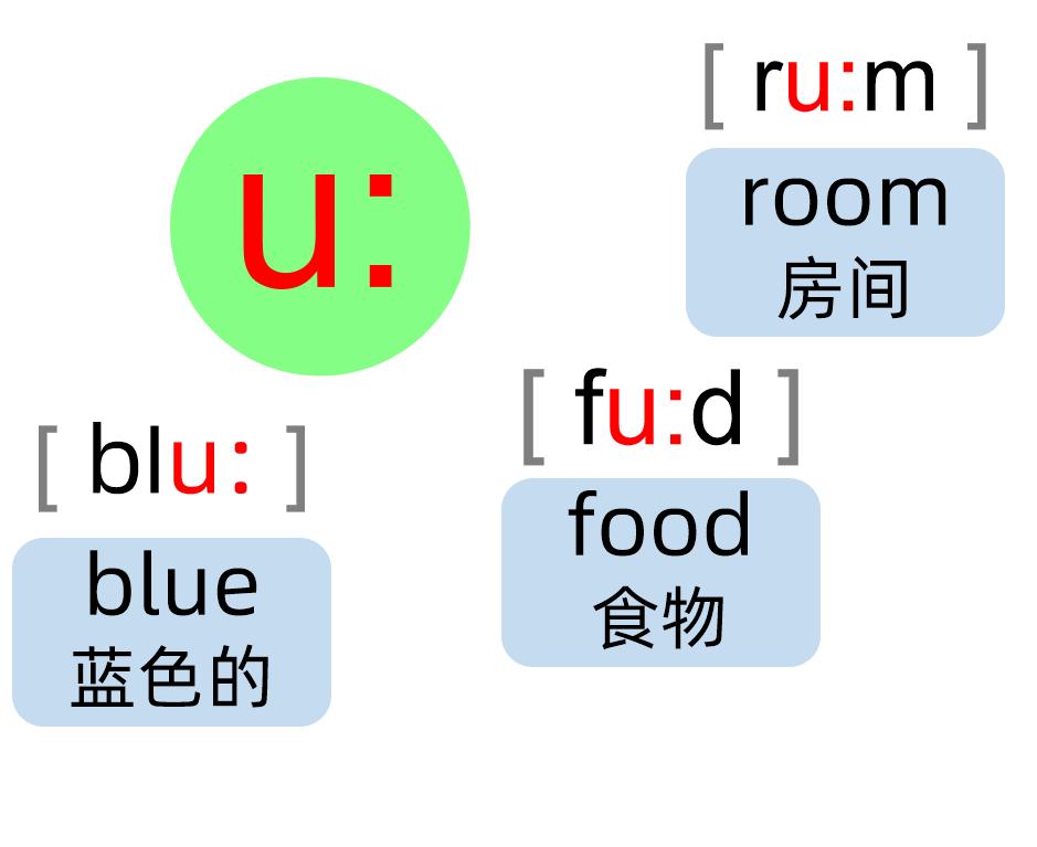 英语音标零基础速成身体记忆,英语音标学习卡片