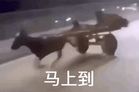 五月空瓶记免费阅读,5月的空瓶