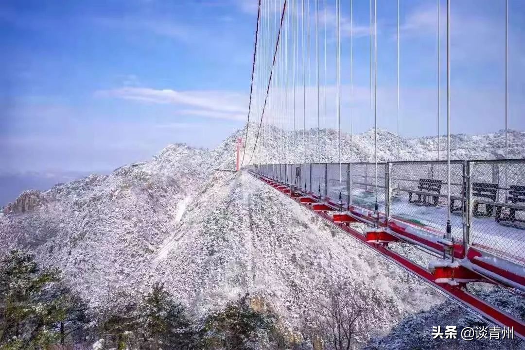 2019最后一个月，山东也太有戏了吧！这些爆款剧演，真怕你错过