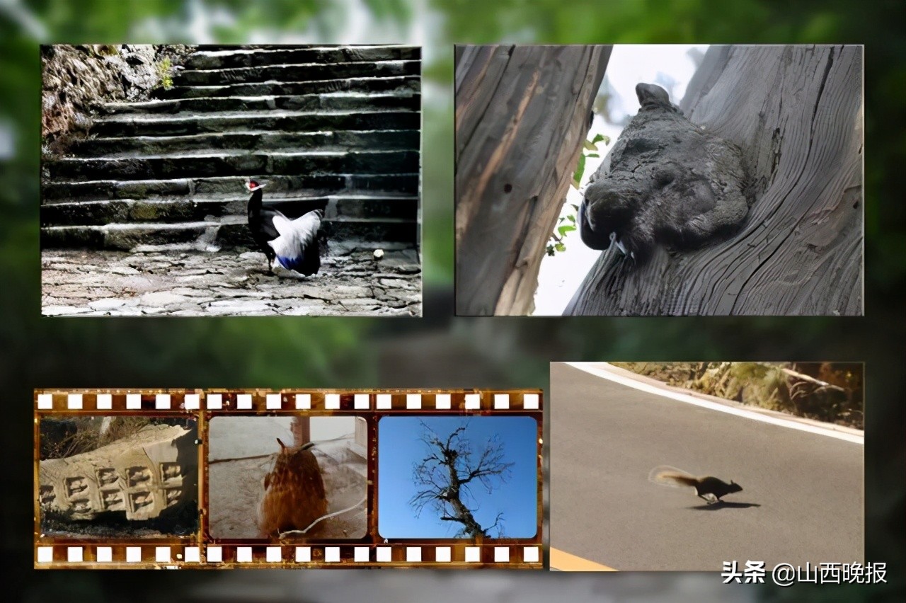 山西晋地宝藏景观,晋地宝藏