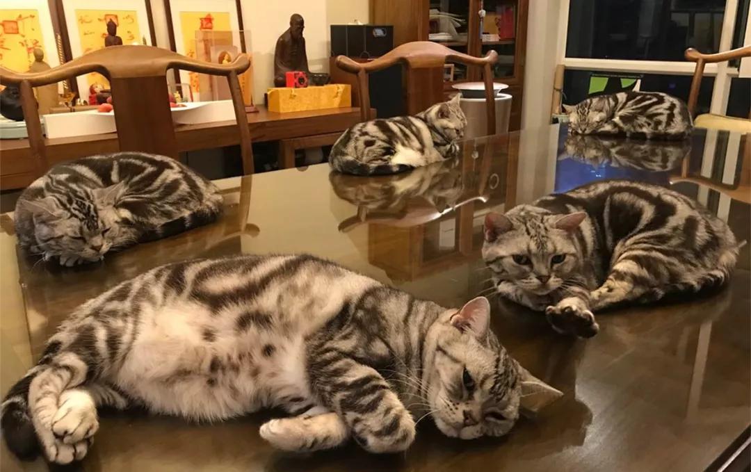 冯仑的恋爱史,冯仑谈孩子