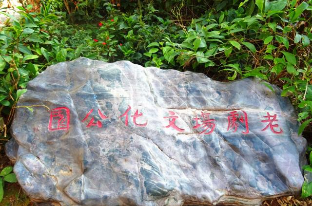 厦门带娃游玩推荐植物园,厦门哪家公园适合亲子玩