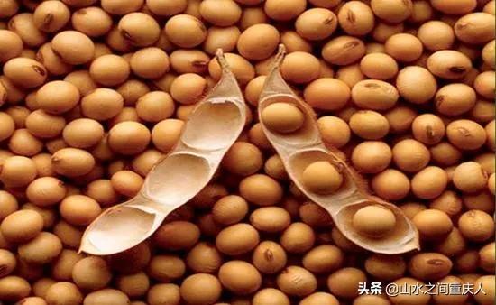 DDT、橙剂、转基因：生态环境摧毁者—孟山都