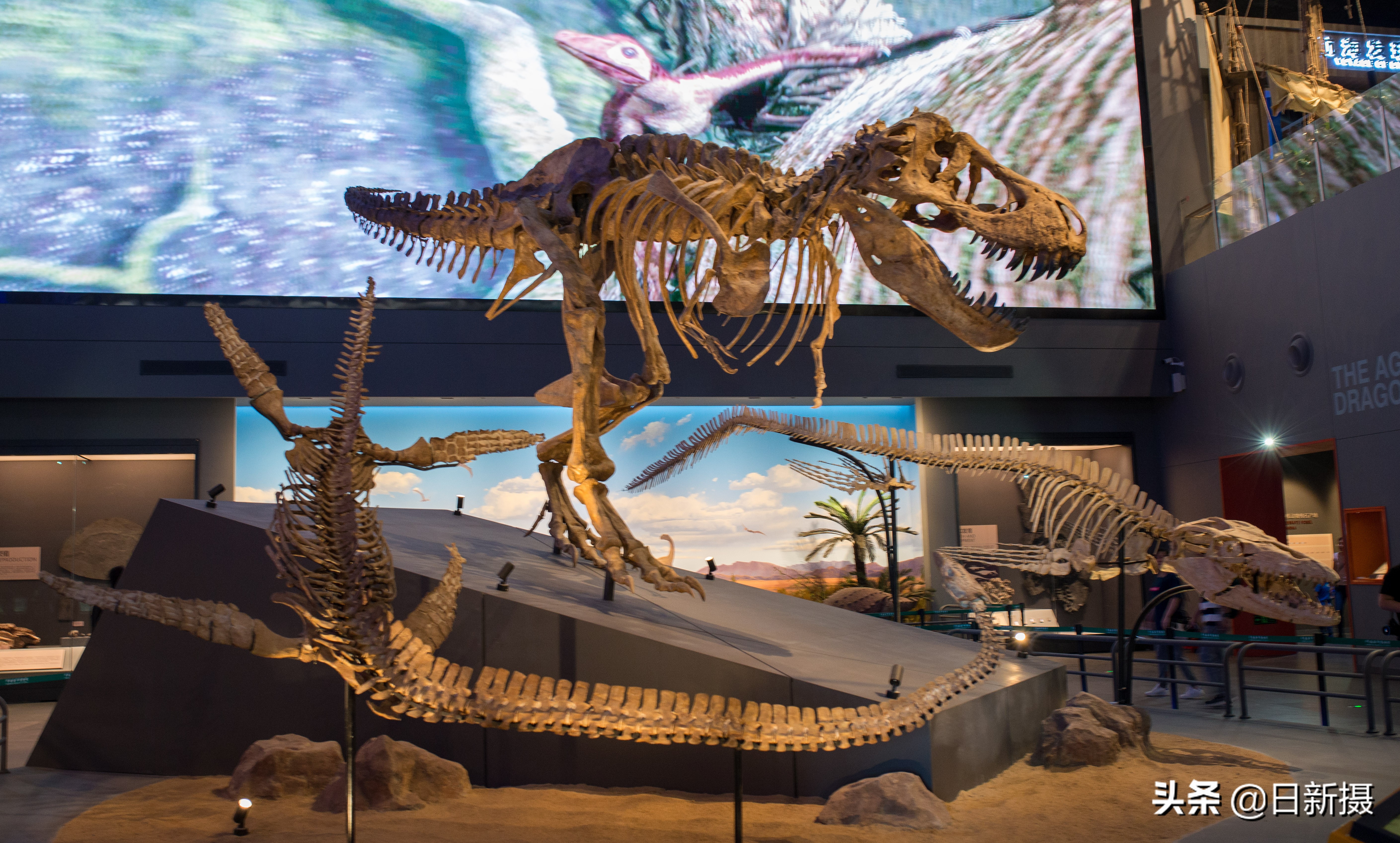 国家海洋博物馆之行,国家海洋博物馆蓝色海洋体验馆