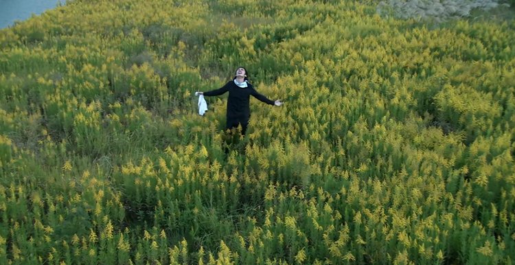 小时代剧版郭敬明吐槽,吐槽小时代郭敬明