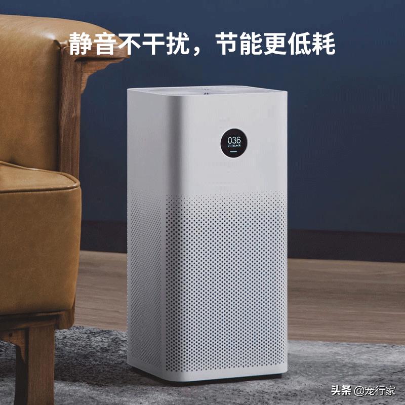 房间养宠物有异味怎么解决,养宠物后屋里有臭味怎么去除