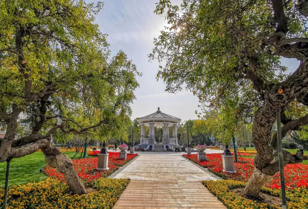 天津市今天哪个公园开放了,2020天津已开放的郊野公园