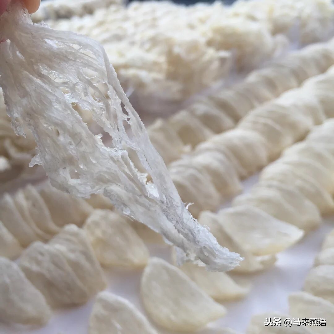 怎么分辨燕窝真假溯源码,印尼燕窝怎么分辨真假