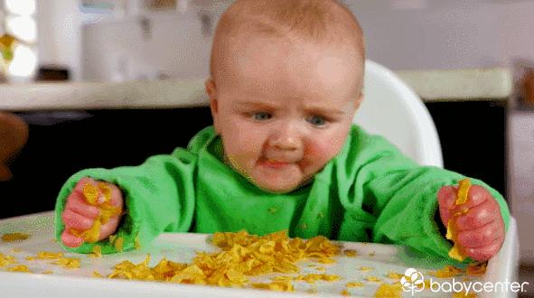 手指食物全解析,90种手指食物一篇教你全搞定