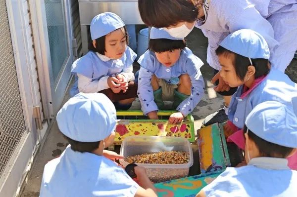 坂本龙一孩子们,坂本龙一幼儿园