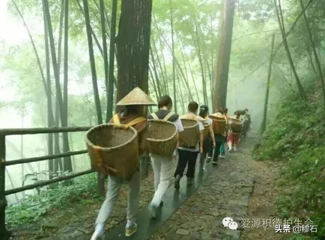 鏄槑绂呭浣忔寔,鏄槑绂呭淇