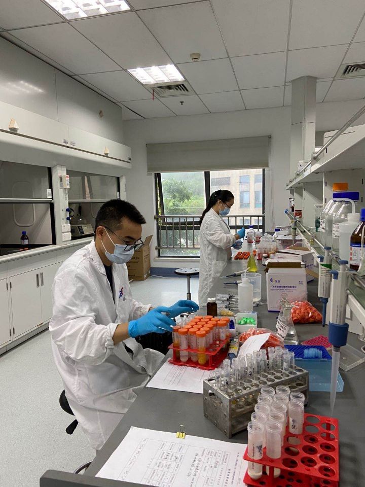 家中霉菌对人体影响,家中霉菌最怕什么