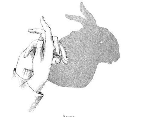 宝宝睡前玩的手影游戏,儿童手脑协调游戏