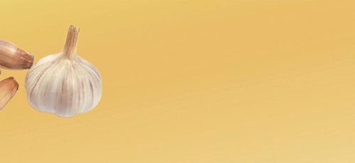 腊八蒜绿的时候能吃吗,腊八蒜要全部绿了才能吃吗