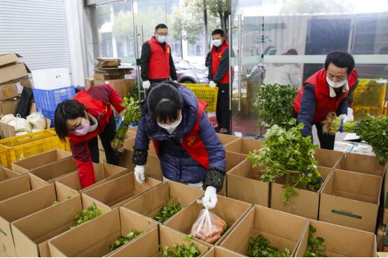 浙江省疫情防控物资,浙江疫情防控期间物资采购