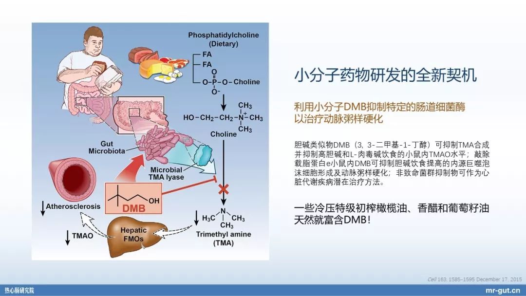 热心肠先生益生菌视频大全,热心肠先生全集