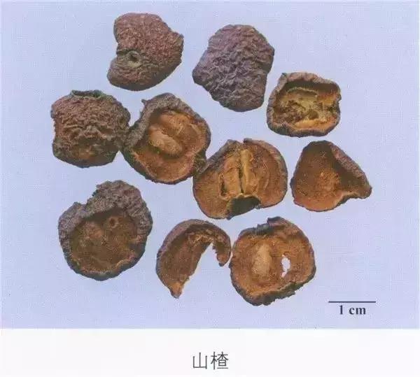 山楂配一味中药降血糖降压,每天一味药