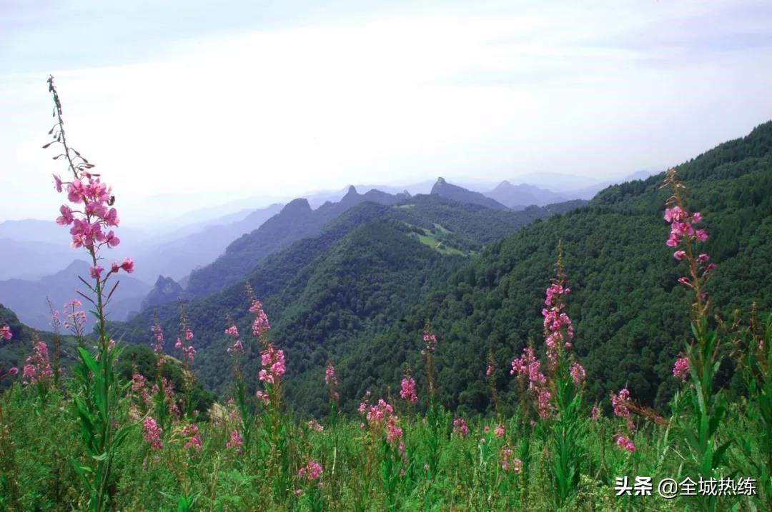 第九届五岳寨越野挑战赛鸣枪开跑,2023五岳寨第九届越野挑战赛奖金