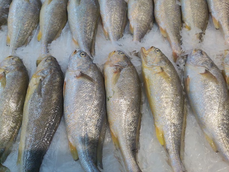 卖海鲜需要掌握哪些知识,买海鲜猫腻揭秘