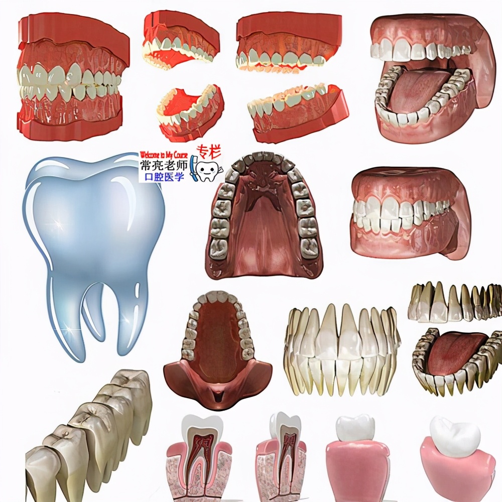 牙科医生讲义第七讲：可摘局部义齿初戴