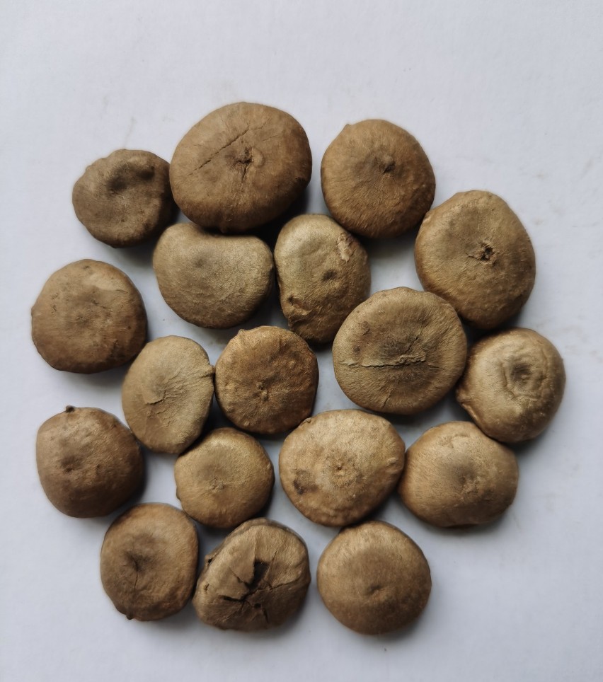 中药炮制常用的仪器和设备,中药炮制常用的液态辅料