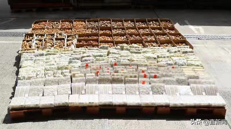 香港内河船走私货柜案件详细,近期香港海关走私案