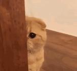 抗衰产品哪个品牌最好,性价比超高的油皮抗衰水