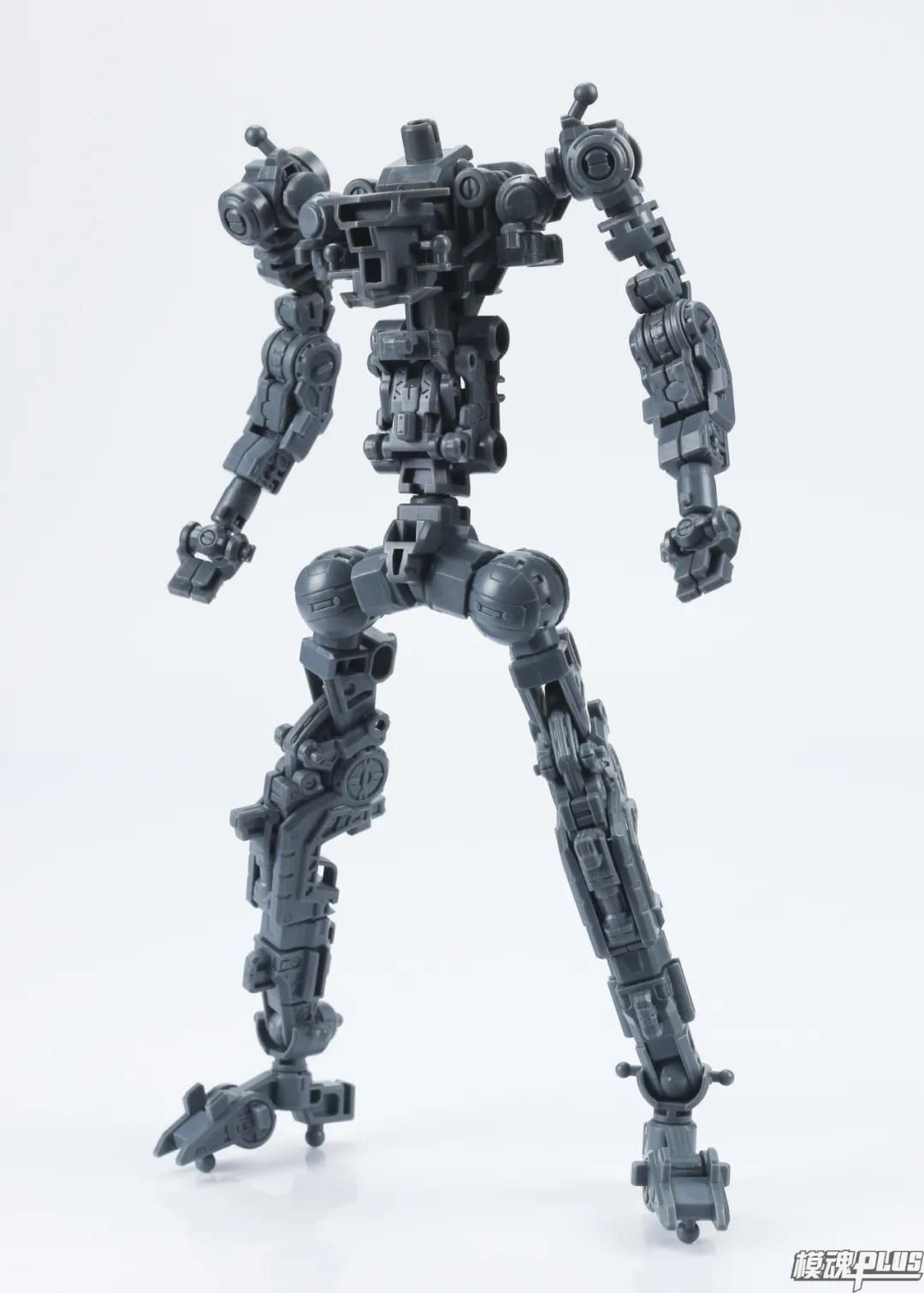 模玩测评骑士,模玩最新资讯