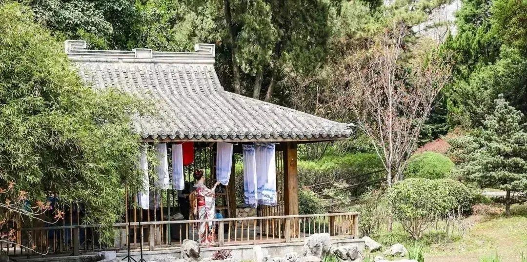 上海免费的旅游攻略,上海最实惠的免费旅游攻略