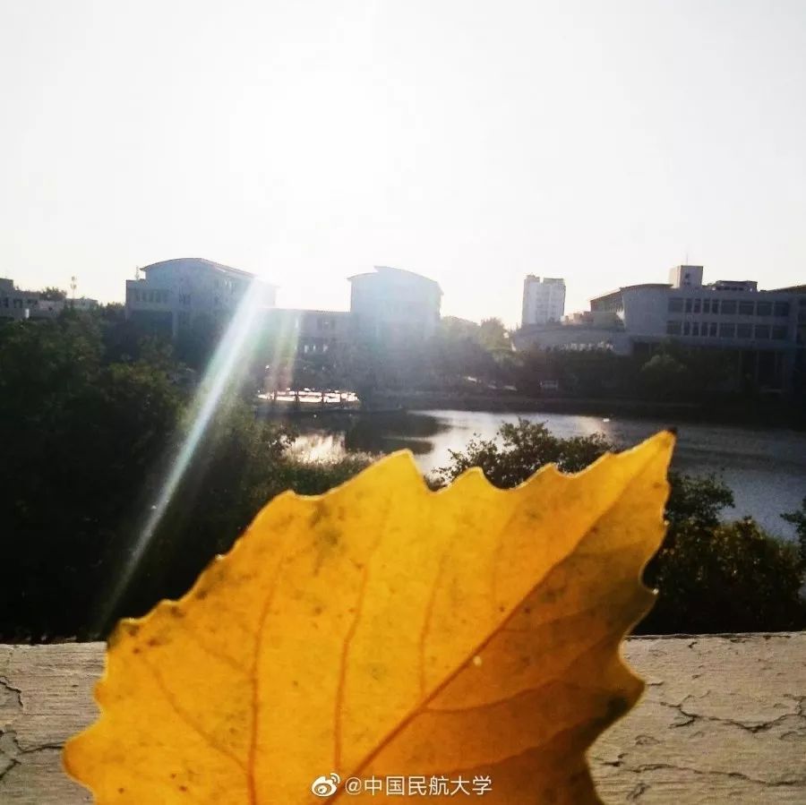 中国民航大学地位,中国民航大学很牛吗现在还有吗