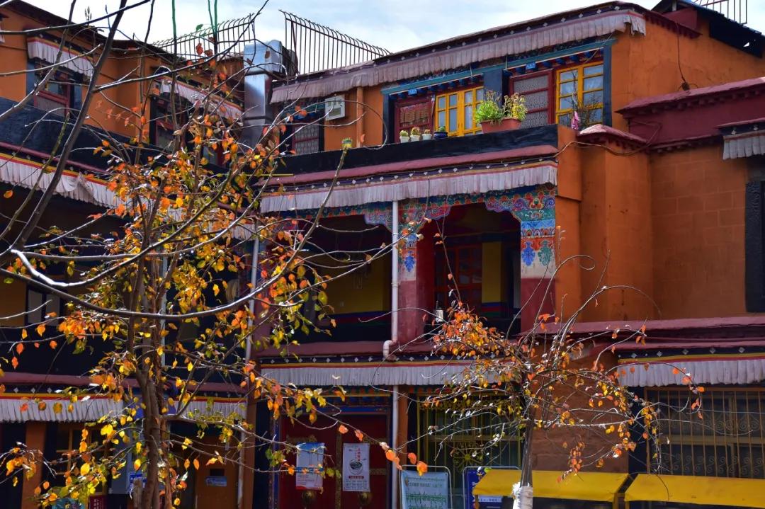 citywalk城市漫步旅游方式,6条citywalk路线带你走过百年