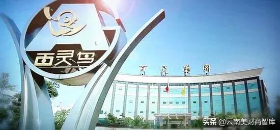 云植药业产品的“忧”与“喜”