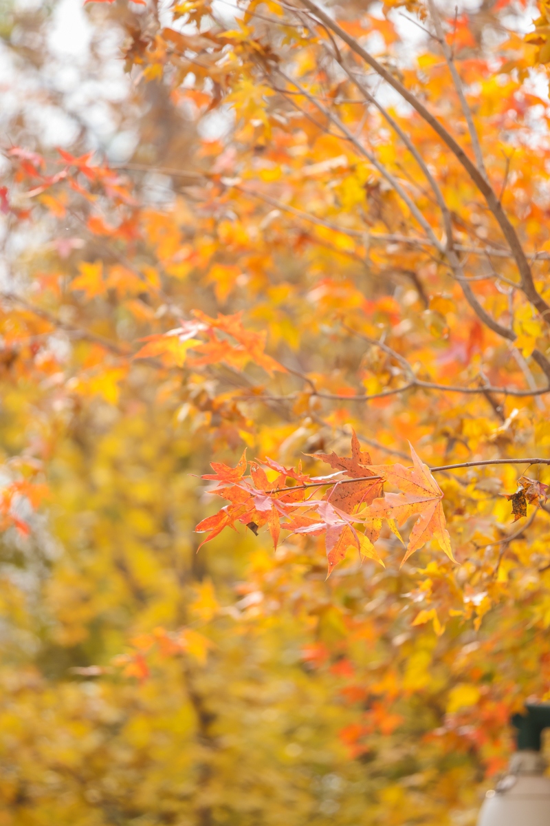 浣宠兘闀跨劍rf100-400,闀跨劍浣宠兘RF闀滃ご