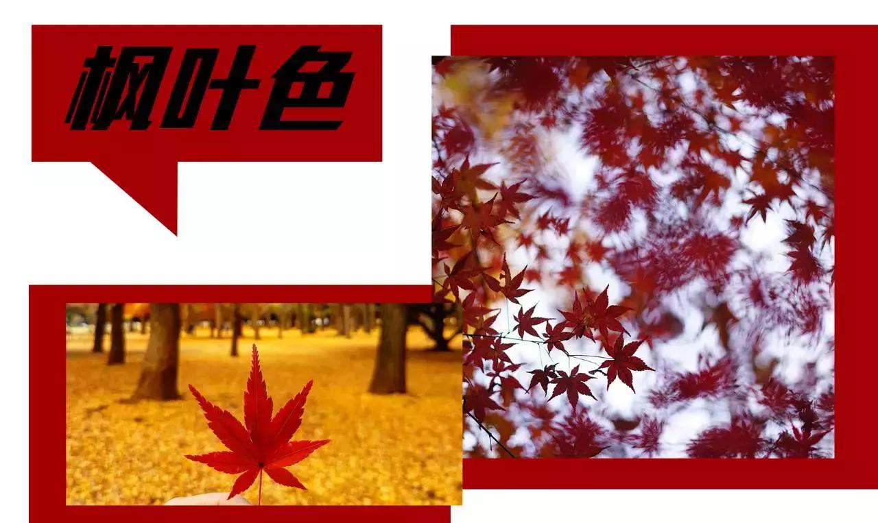 10种最经典的口红色号推荐,最近比较好看的口红色号