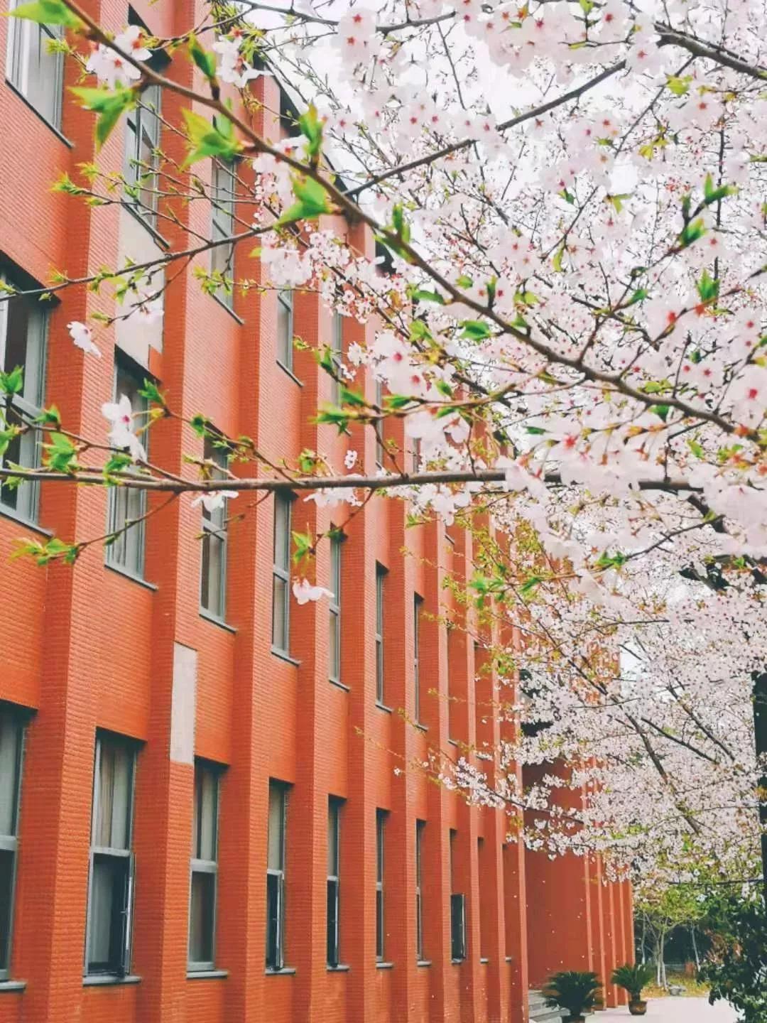 江苏一高校,江苏省四大高校