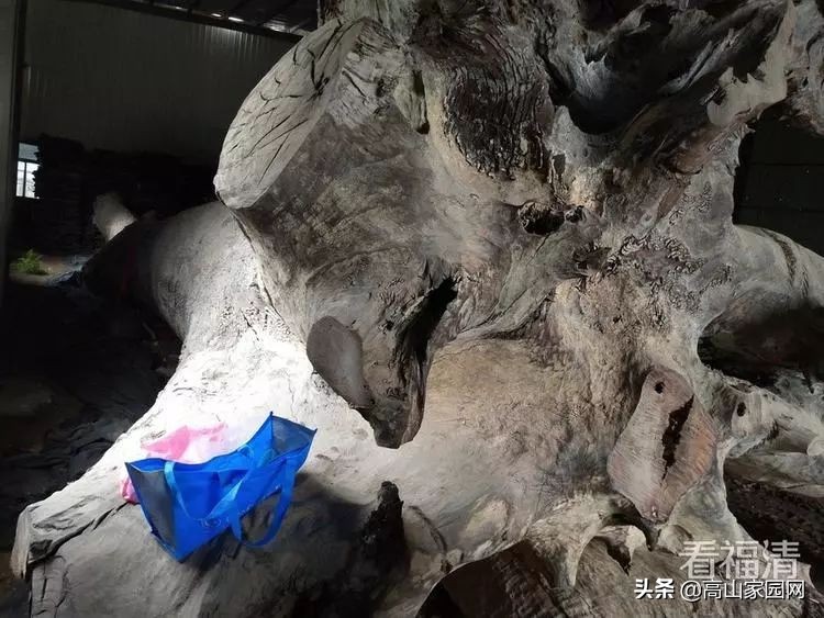 福清老板拥有的一根木头,能值600万?