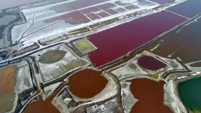 运城盐湖中国死海的舆情,运城盐湖中学排名