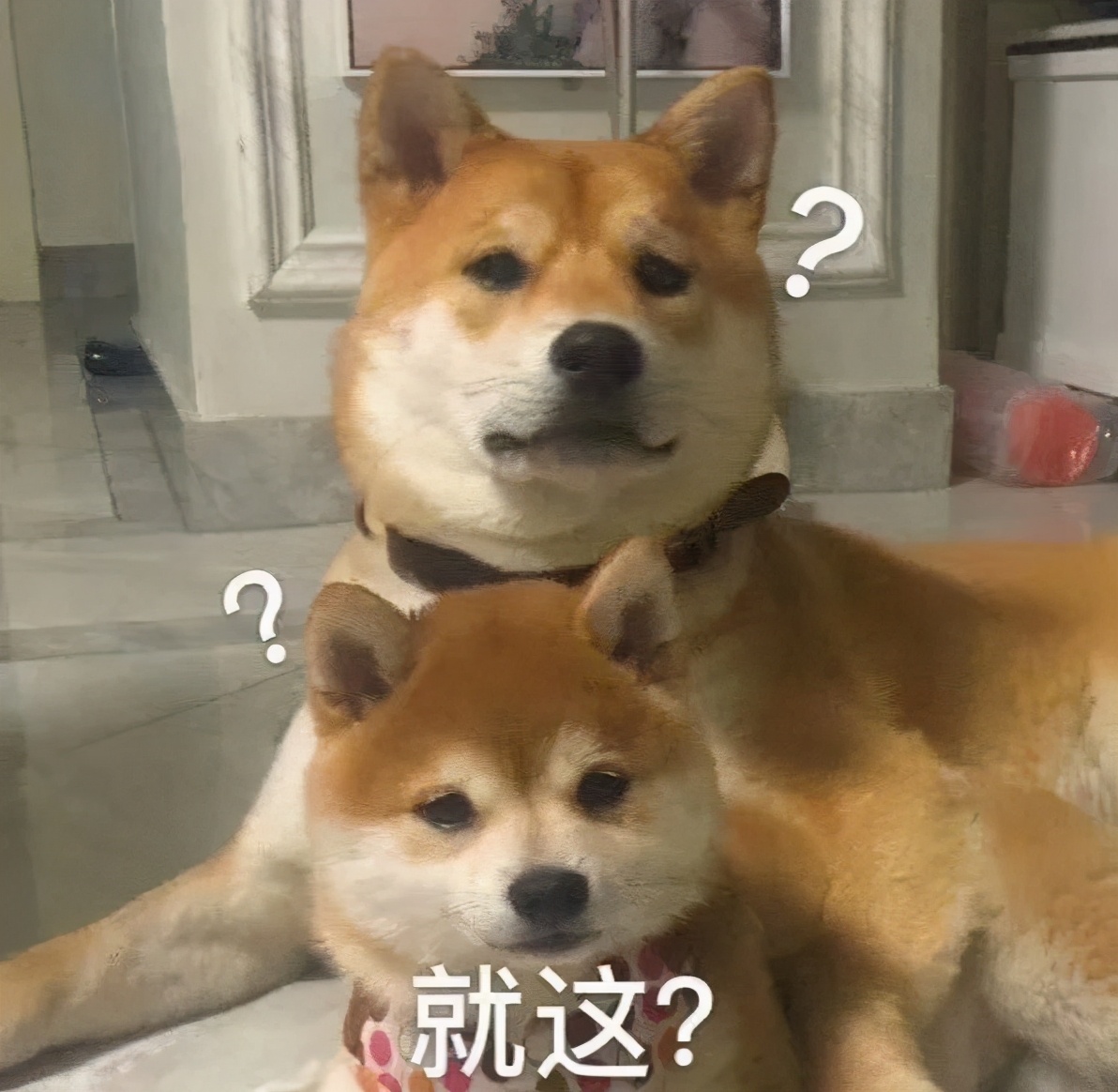 花400块钱买了一条裤,花了60块钱买了一条裤子