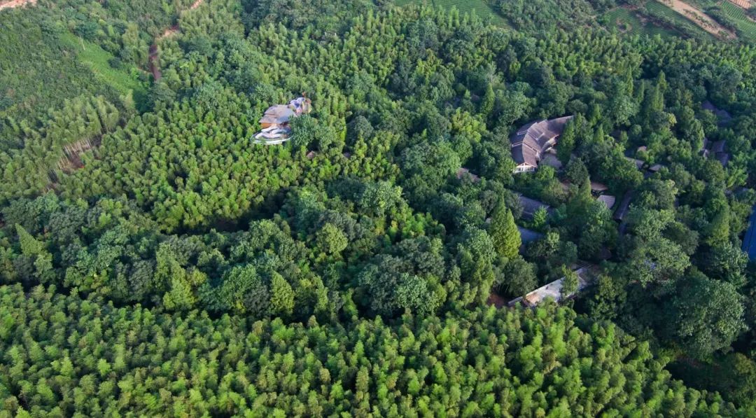 游玩半价票,雁荡山周末半价票