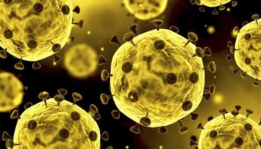 益生菌抗氧化抗自由基,益生菌有没有抗过敏的作用