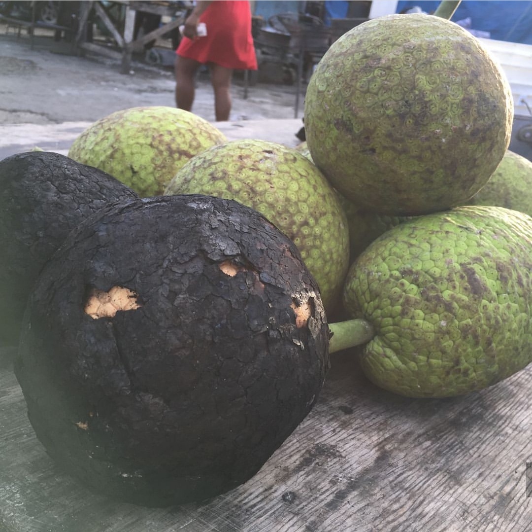 恶魔果实原型是什么水果,面包果是什么样子的