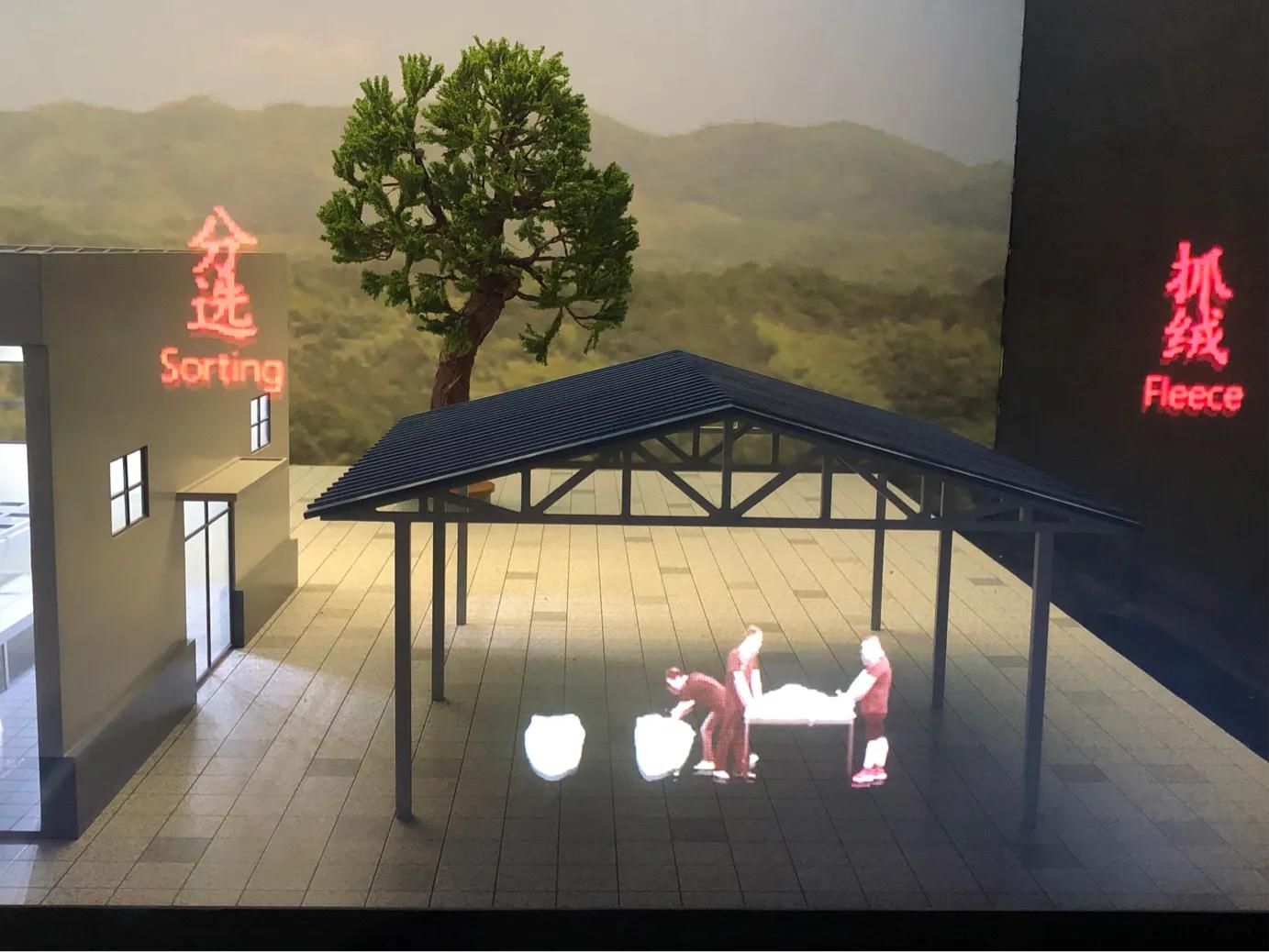 羊绒制品起源,中国羊绒历史简介