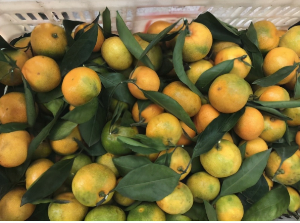 水果店推出5元随便拿活动,开一家水果店的盈利模式