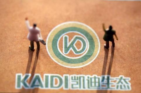 st凯迪重组最新消息,生物质发电龙头凯迪